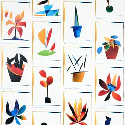 Schumacher x Peg Norriss Botanicals Wallpaper — Spectrum