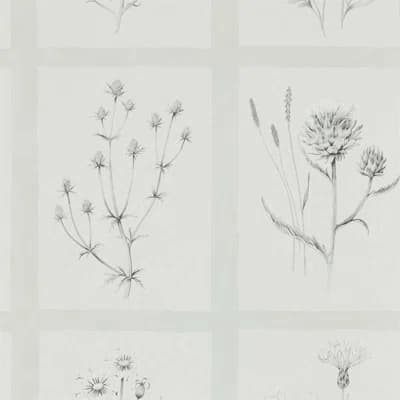 Little Thistles Wallpaper — Pewter