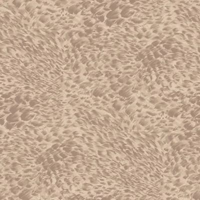 FERUS Wallpaper - Astrantia 9'10" - full height wallpaper — Astrantia