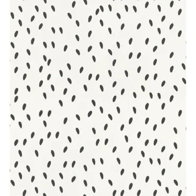 Special Edition Matte Wallpaper Roll by Sandberg — Black;Cream