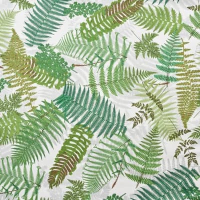Schumacher x Clements Ribeiro Fernarium Wallpaper — Black,Leaf