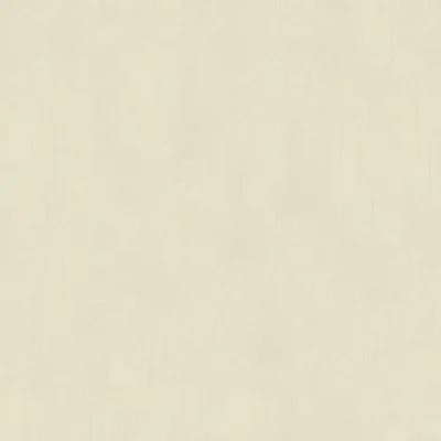 Terra Collection Textured Plaster Wallpaper Roll — White