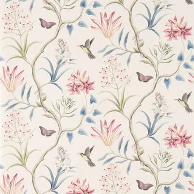 Clementine Wallpaper — Indienne