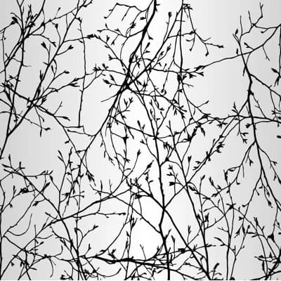 Branch Entanglement Floral Vinyl Non-Pasted Metallic Wallpaper Roll by Jamie Graney — Black Lacquer,White