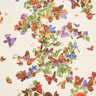 Pyne Butterfly Wallpaper — Monarch Orange