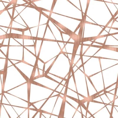 Web Geometric Vinyl Non-Pasted Matte Wallpaper Roll by Jamie Graney — Rose,Gold