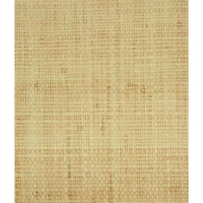 3.75' L x 45" W Wallpaper Panel — Tan
