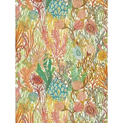 Acropora Wallpaper — Brazilian Rosewood,Nectar,Tree Canopy