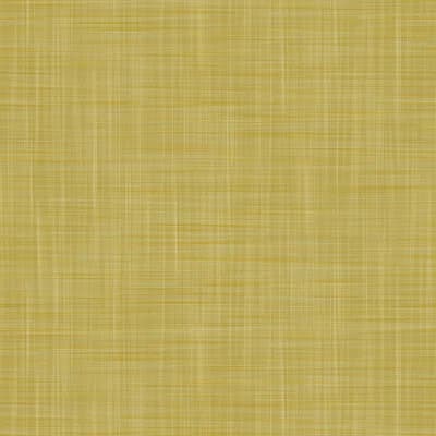 Lorenzo Castillo Volume V Vinyl Wallpaper Roll by Gaston Y Daniela — Lima