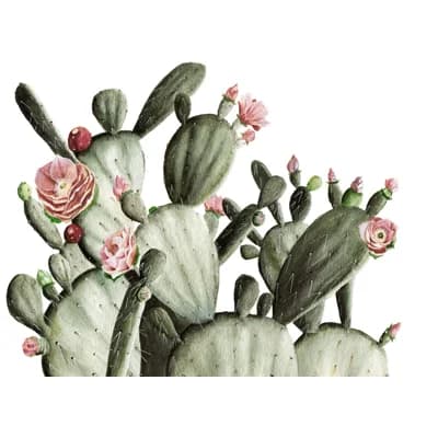 Floral Non-Pasted Matte Wall Mural by Shealeen Louise — Green