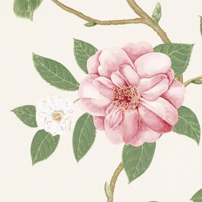 Christabel Wallpaper — Coral,Ivory