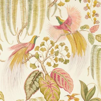 Bird of Paradise Wallpaper — Olive
