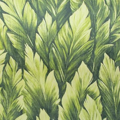 Tropical Collection Somoa Inspired Tropical Leaves 27.8' L x 27.5" W Wallpaper Roll — Avocado