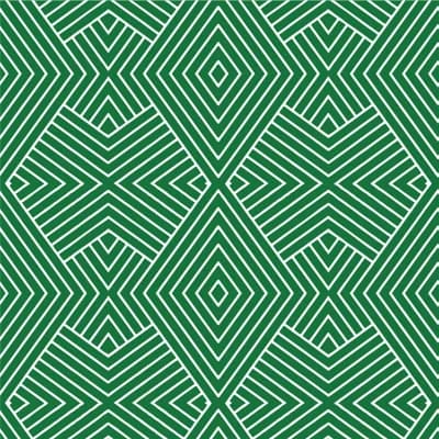Mrs Paranjape Papers Formation 10' L x 24" W Wallpaper Roll — Jet Black