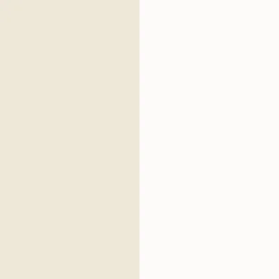 Style Sisters Classic Half Stripe Design Wallpaper Roll — Cream