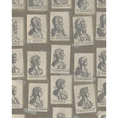 The Home of an Eccentric Man Non-Pasted Matte Wallpaper Roll — Brown,Gray