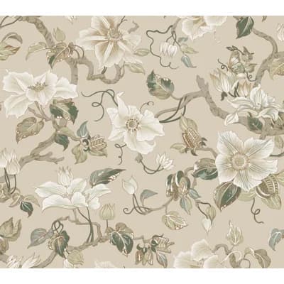 Marguerite Vine Floral Non-Pasted Matte Wallpaper Double Roll by Ronald Redding — Taupe