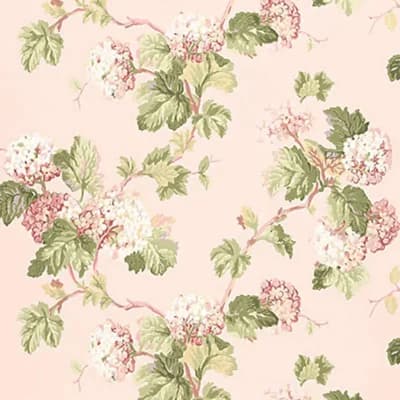 Viburnum Wallpaper — Blush