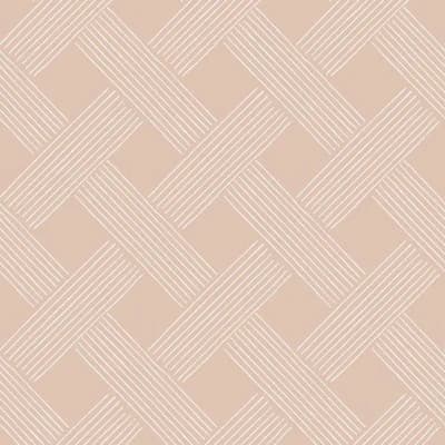 Lady Charlotte Lattice Weave 10' L x 24" W Wallpaper Roll — Ash