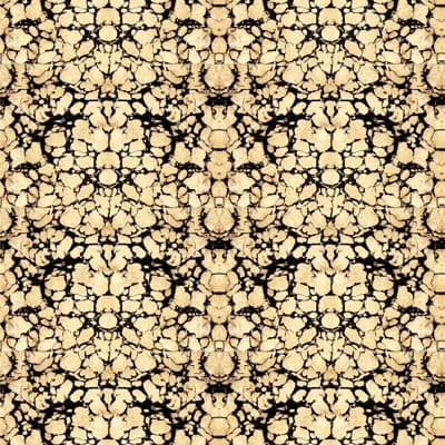 Abra Golden Tortoise 10' L x 24" W Wallpaper Roll — Black;Gold