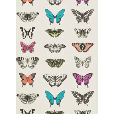 Papilio Wallpaper — Flamingo,Papaya,Olive