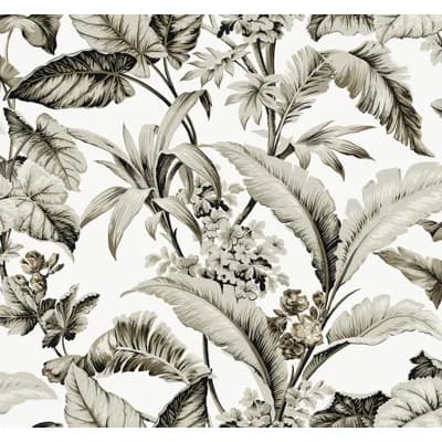 Mystic Isle Floral Non-Pasted Matte Wallpaper Double Roll by Ronald Redding — Black