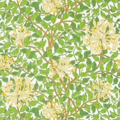 Honeysuckle Wallpaper — Cream,Chocolate