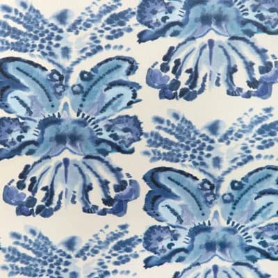 Rorschach Wp — Murex