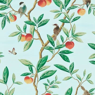 Ella Wallpaper — Sky,Fig Leaf,Nectarine