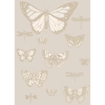 Butterflies & Dragonflies Non-Pasted Wallpaper Roll — Gray