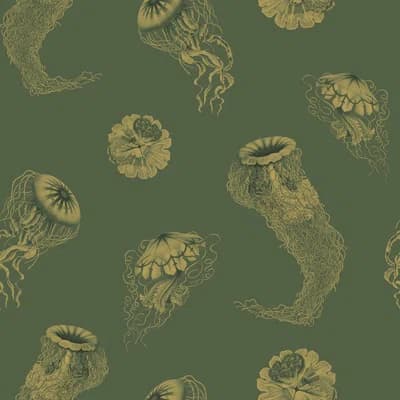 Medusa — Deep Sea
