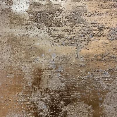 Maxine Non-Pasted Metallic Wallpaper Roll — Silver;Gold