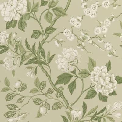 2'9" L x 20.49" W Wallpaper Roll — Soft Green