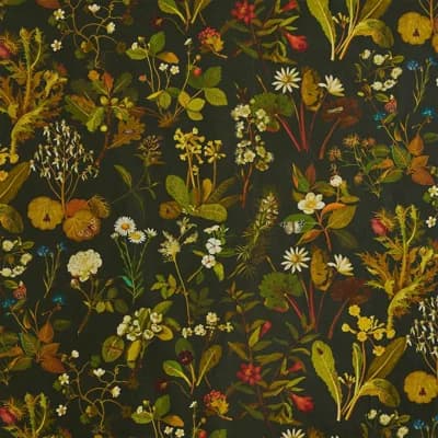 Herbarium 9.84' L x 70.87" W Wallpaper Roll — Forest Green