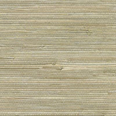 Iriga Grass Cloth Non-Pasted Wallpaper Roll — Beige