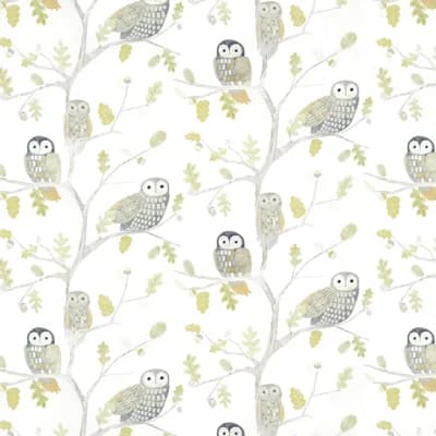 Little Owls Wallpaper — Kiwi