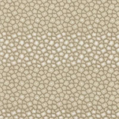 Loam — Sandstone
