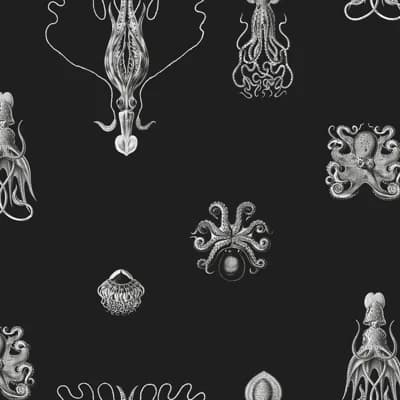 Non-Pasted Wallpaper Double Roll — Sleep