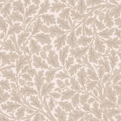 QUERCUS Wallpaper - Astrantia 9'10" - full height wallpaper — Astrantia