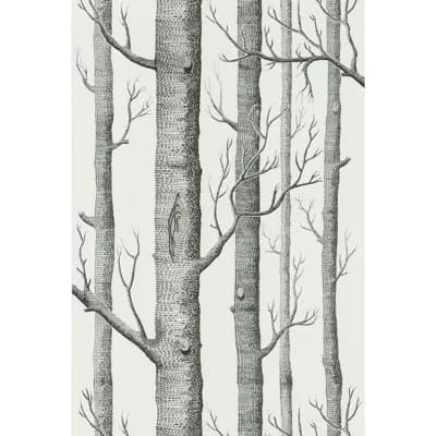 Shiplap Non-Pasted Matte Wallpaper Roll — Onyx,White