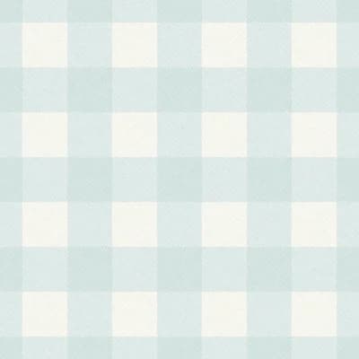 Washed Gingham — Bluebird