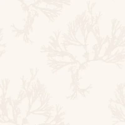 Seaweed 33' L x 20.5" W  Wallpaper Roll — Cream