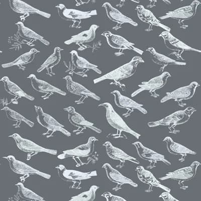 The Signature Tweeter 10' L x 24" W Wallpaper Tile — Black