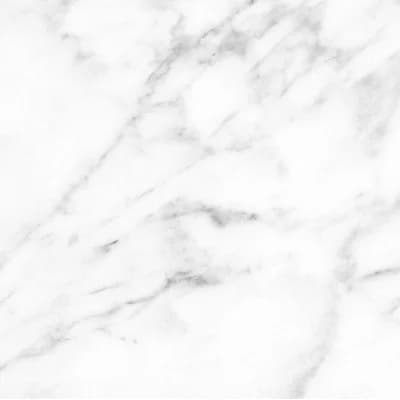 Carrara Marble Non-Pasted Matte Wall Mural by Jamie Graney — White Carrara