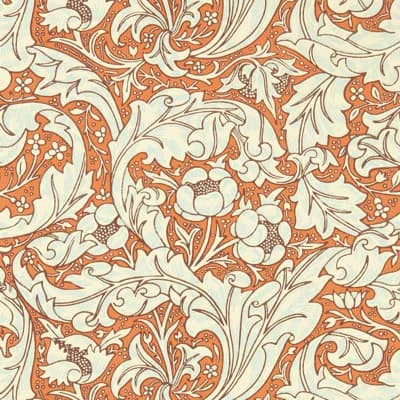 Bachelors Button Wallpaper — Burnt Orange,Sky