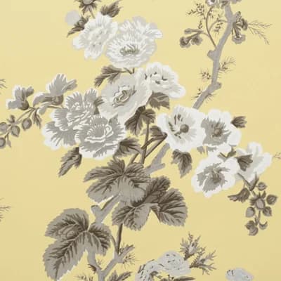 Pyne Hollyhock Wallpaper — Buttercup