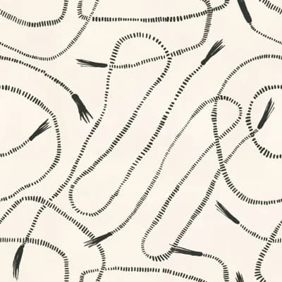 Whips 33' L x 20.5" W Wallpaper Roll — Cream,Black