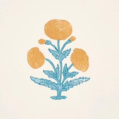 Schumacher X Molly Mahon Poppy Print Wallpaper — Pink