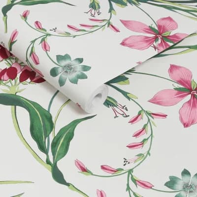 Graham & Brown Botanists Scroll Mauve Wallpaper — Pink
