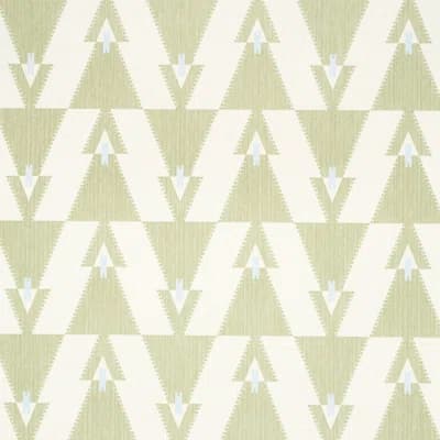 Schumacher x A Rum Fellow Kalido Wallpaper — Pistachio